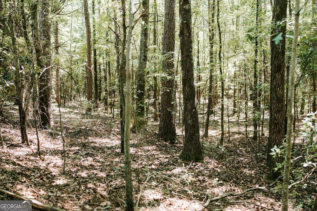 0 Lexington-Carlton Road Lexington, GA 30648 - Photo 5 of 20