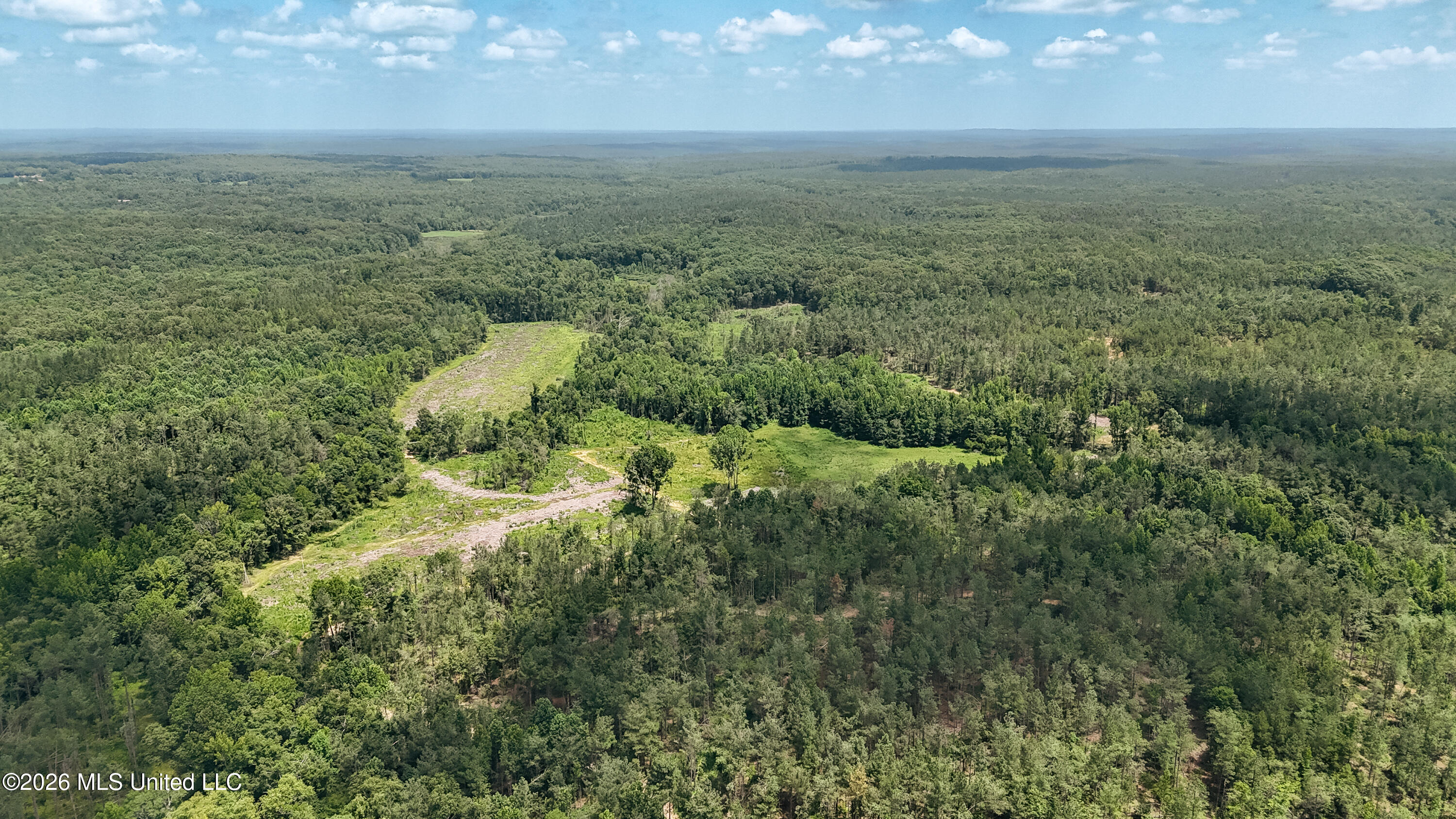 828 Little Egypt Road Ashland, MS 38603 - Photo 71 of 101 DJI_20260630120332_0337_D