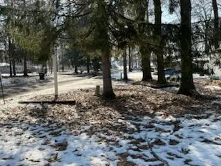 $39,900 | 11671 Heron Drive, Lakeview, MI 48850
