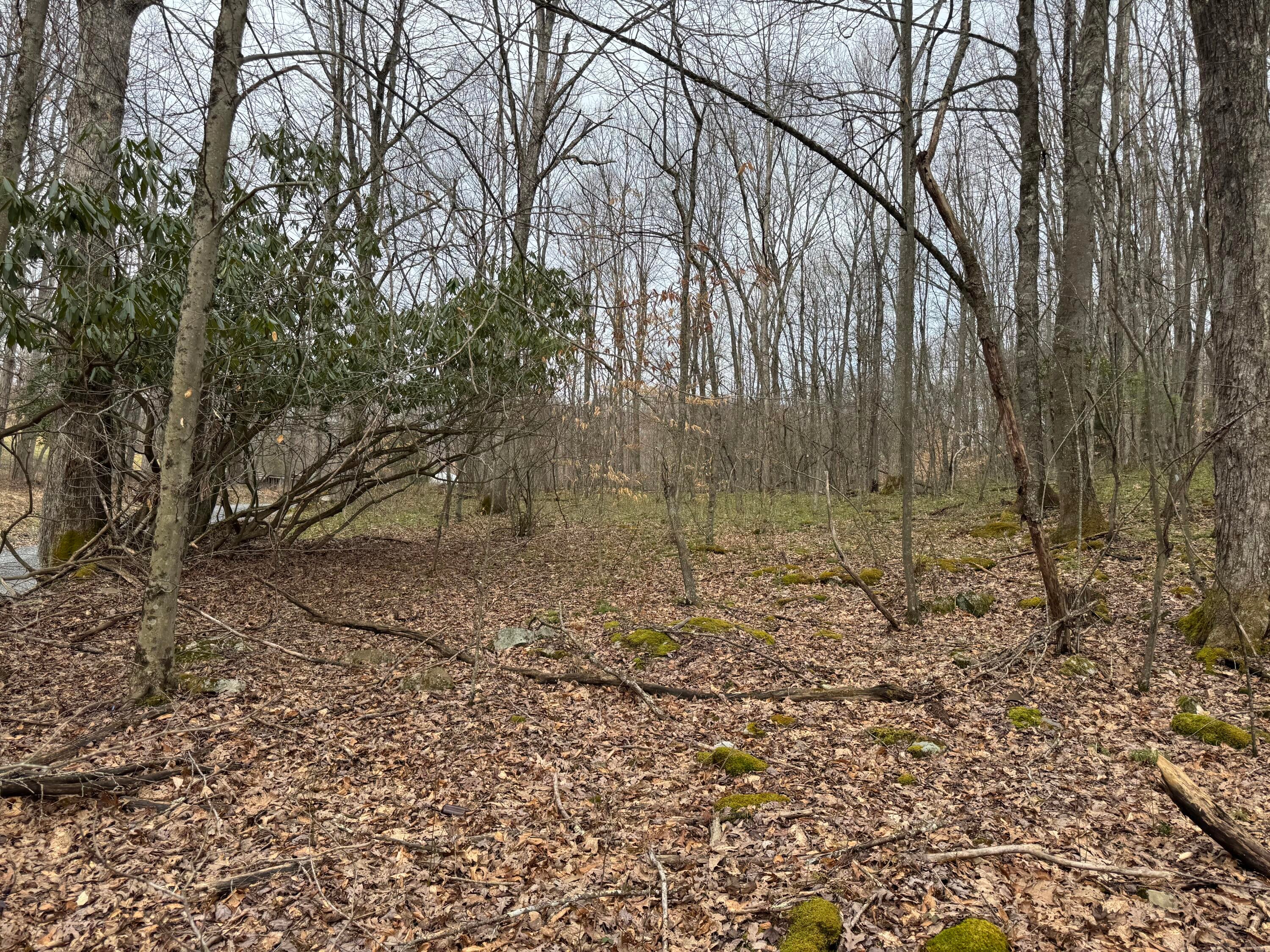 Sugar Camp Road Craigsville, WV 26205 - Photo 5 of 6 Sugar Camp Rd, Craigsville WV
