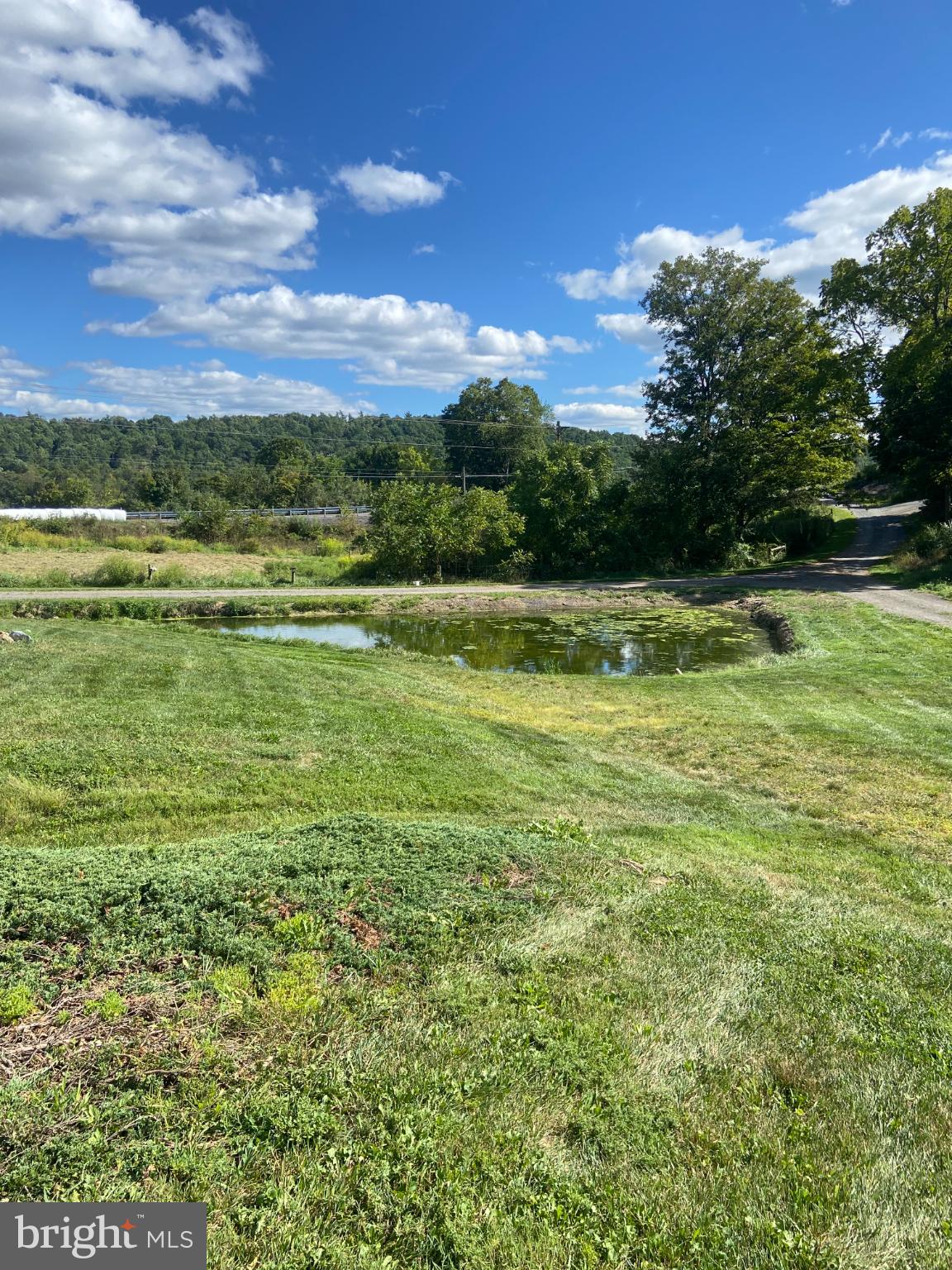 15806 Mefferd Road Blairs Mills, PA 17213 - Photo 10 of 44 Serene landscape with lush greenery and pond.