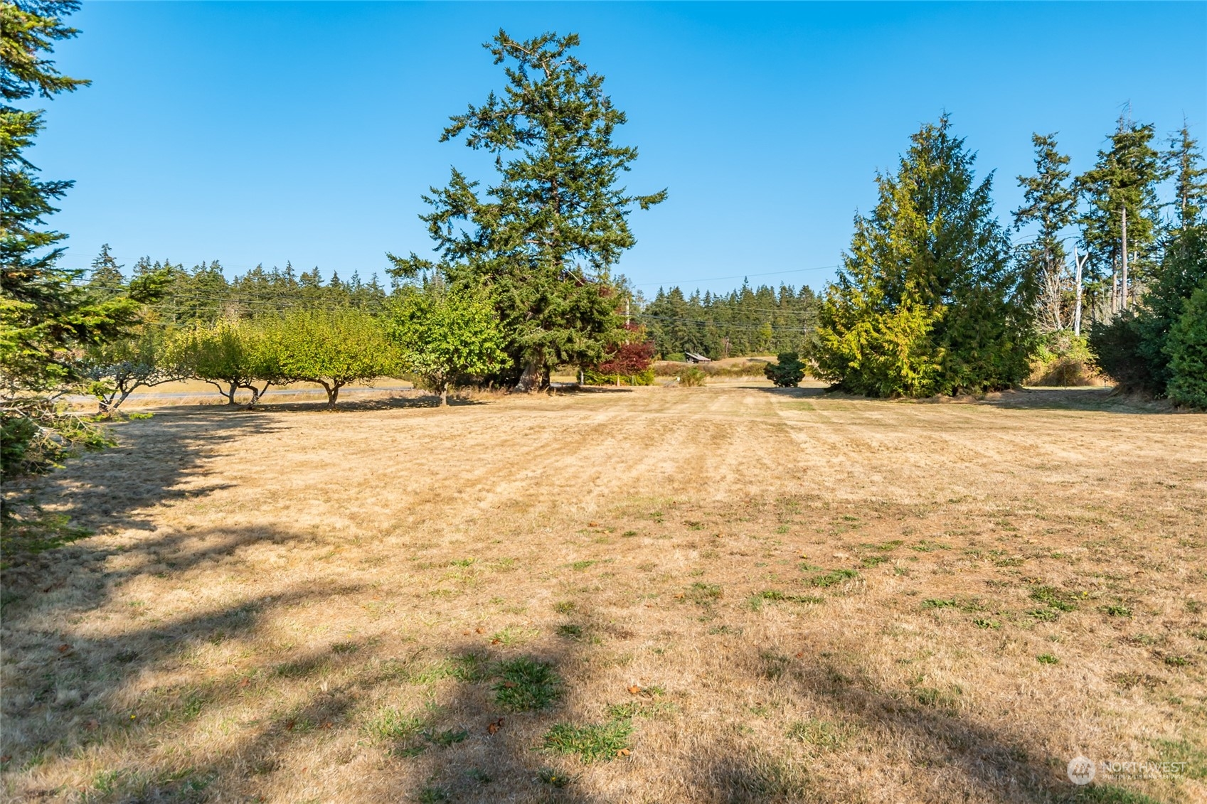 410 Silver Lake Road Oak Harbor, WA 98277 - Photo 34 of 35 Gallery Image 34
