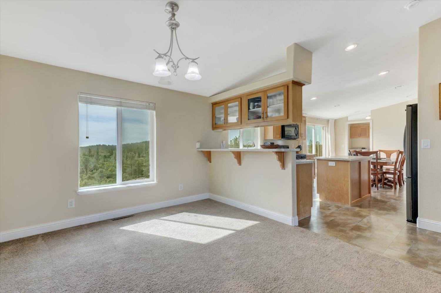 13886 Meadow Valley Road Dobbins, CA 95935 - Photo 7 of 99