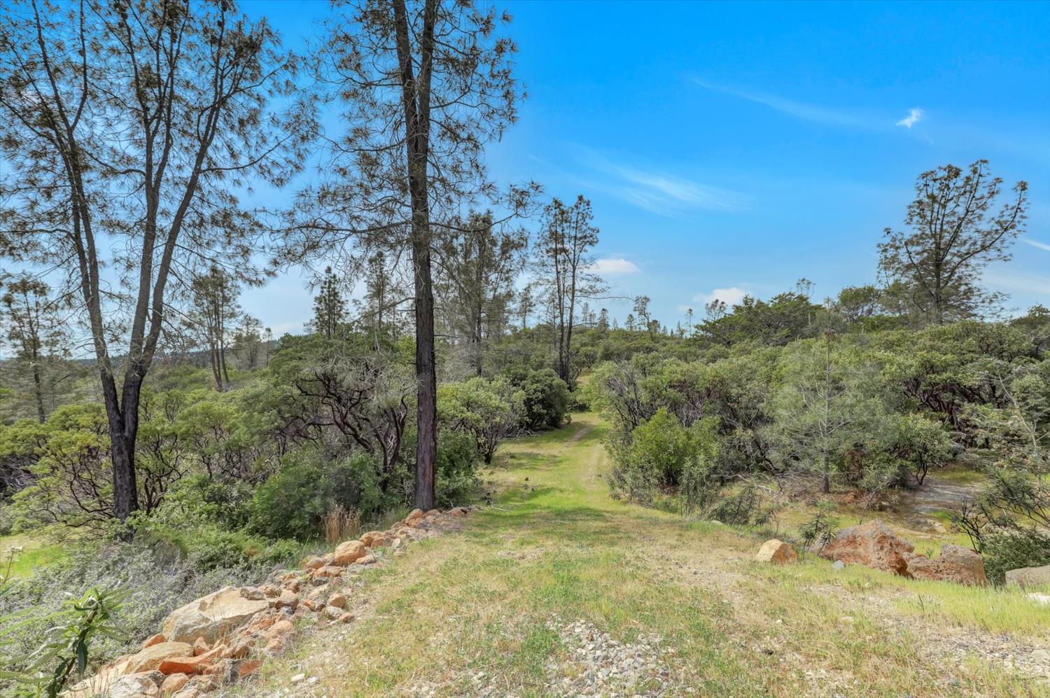13886 Meadow Valley Road Dobbins, CA 95935 - Photo 82 of 99 a view of a forest with trees in the background