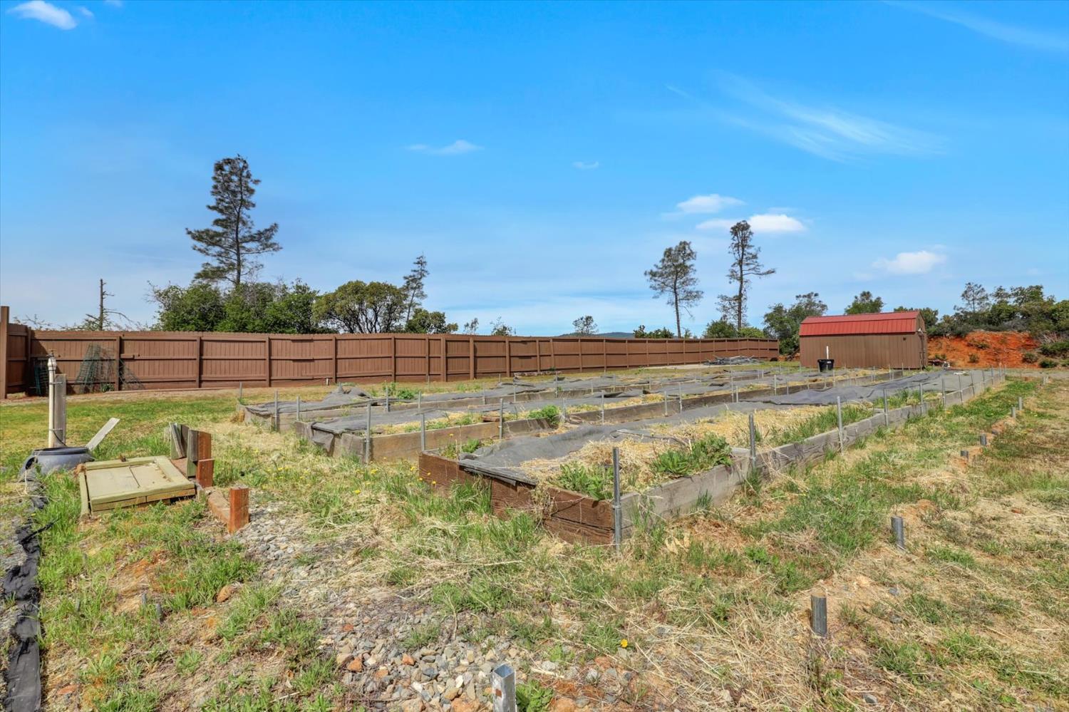 13886 Meadow Valley Road Dobbins, CA 95935 - Photo 84 of 99