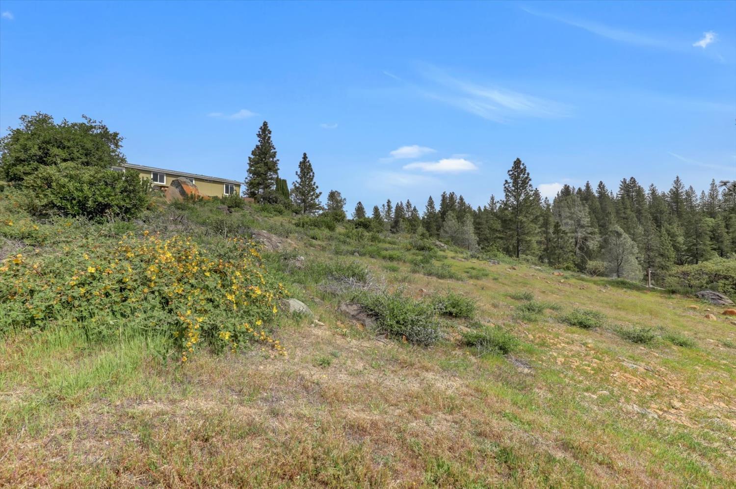 13886 Meadow Valley Road Dobbins, CA 95935 - Photo 87 of 99