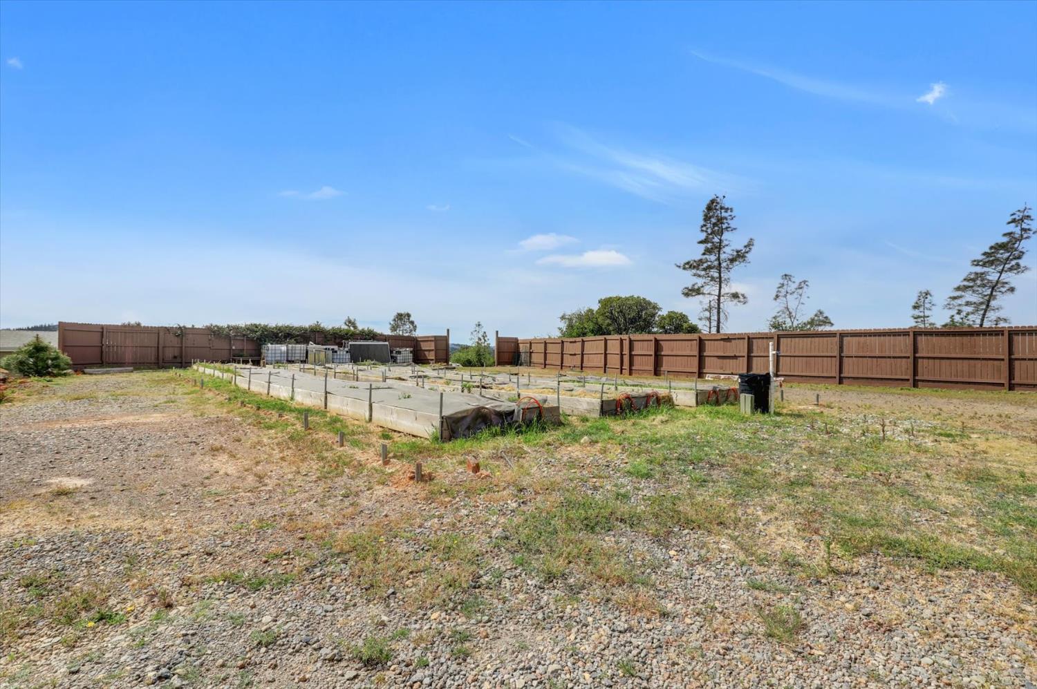 13886 Meadow Valley Road Dobbins, CA 95935 - Photo 88 of 99 a view of a garden with a building in the background