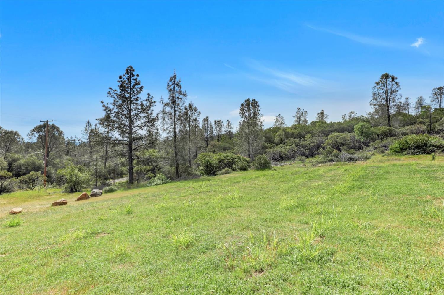 13886 Meadow Valley Road Dobbins, CA 95935 - Photo 89 of 99 a view of a field with trees in the background