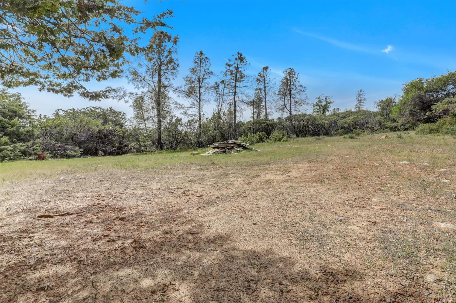 13886 Meadow Valley Road Dobbins, CA 95935 - Photo 90 of 99 a view of a field with trees in the background