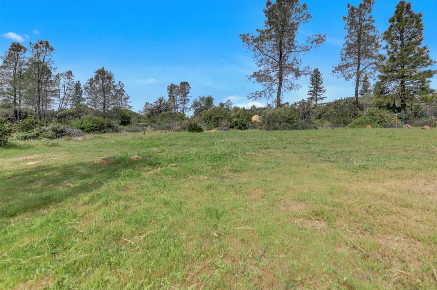 13886 Meadow Valley Road Dobbins, CA 95935 - Photo 92 of 99 a view of a field with trees
