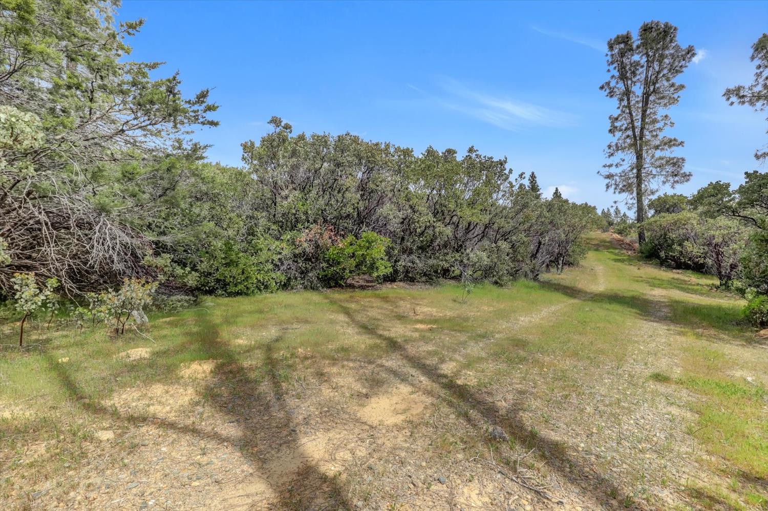 13886 Meadow Valley Road Dobbins, CA 95935 - Photo 95 of 99 a view of a yard with an outdoor space