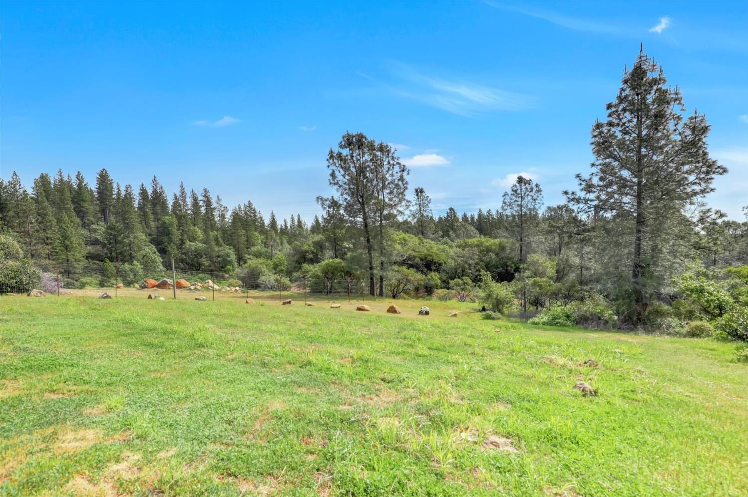 13886 Meadow Valley Road Dobbins, CA 95935 - Photo 97 of 99 a view of a grassy field with trees in the background