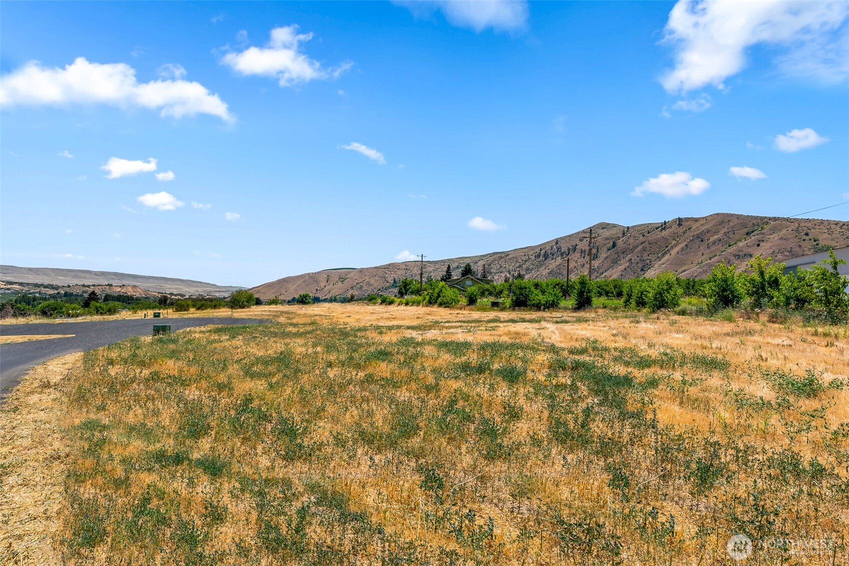 62 Penstemon Lane Monitor, WA 98836 - Photo 6 of 9 a view of lake and mountain