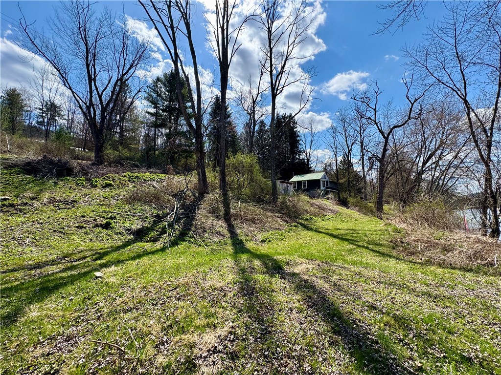 541 Wells Bridge Road Otego, NY 13825 - Photo 6 of 22