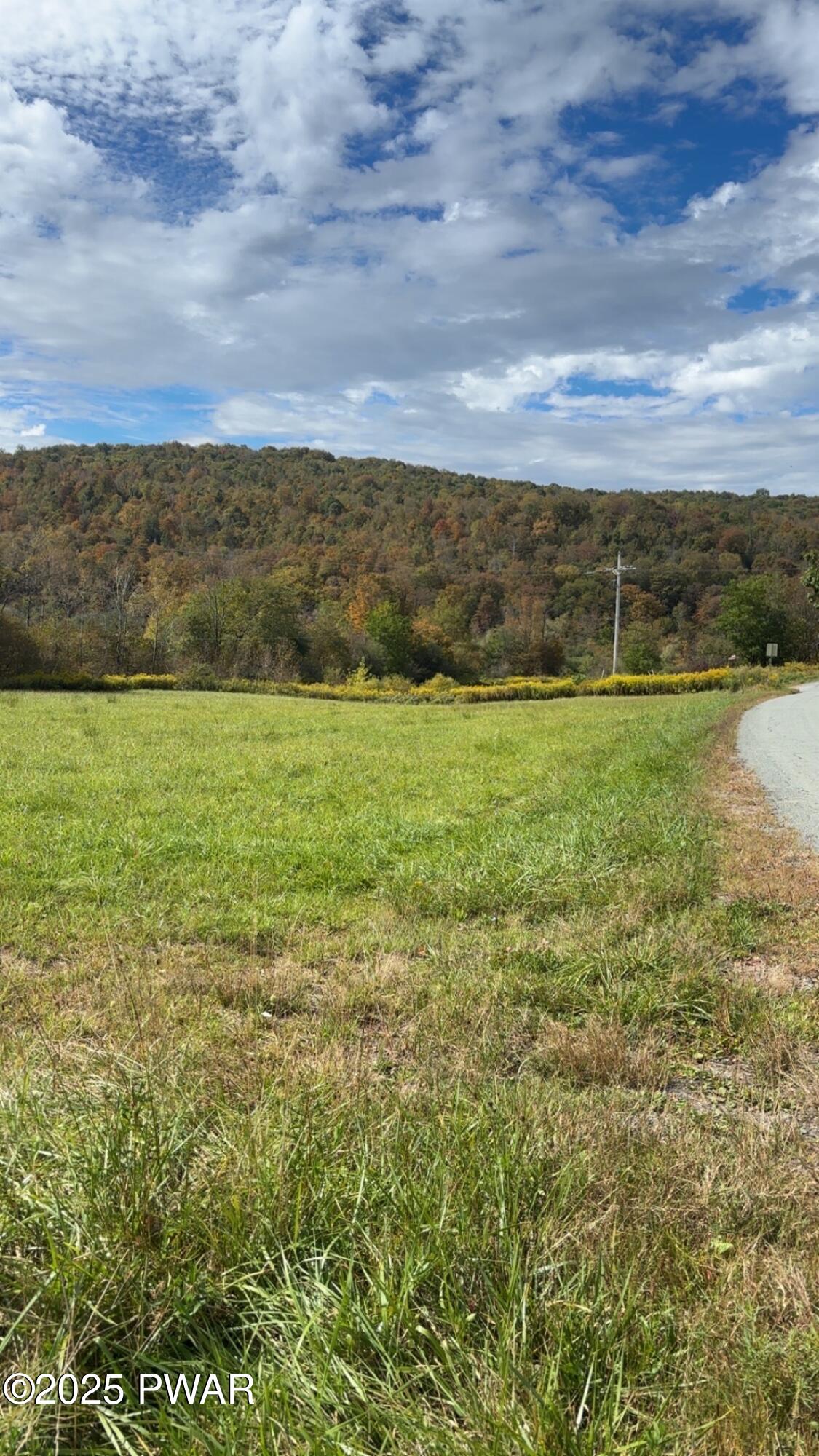 Shadigee Creek Road Road Starrucca, PA 18462 - Photo 3 of 3