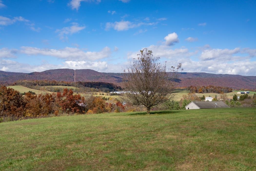 2866 Strole Farm Road Shenandoah, VA 22849 - Photo 10 of 62 Gallery Image 10