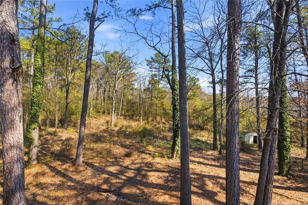 2470 Northbrook Road Snellville, GA 30039 - Photo 54 of 58 Gallery Image 54