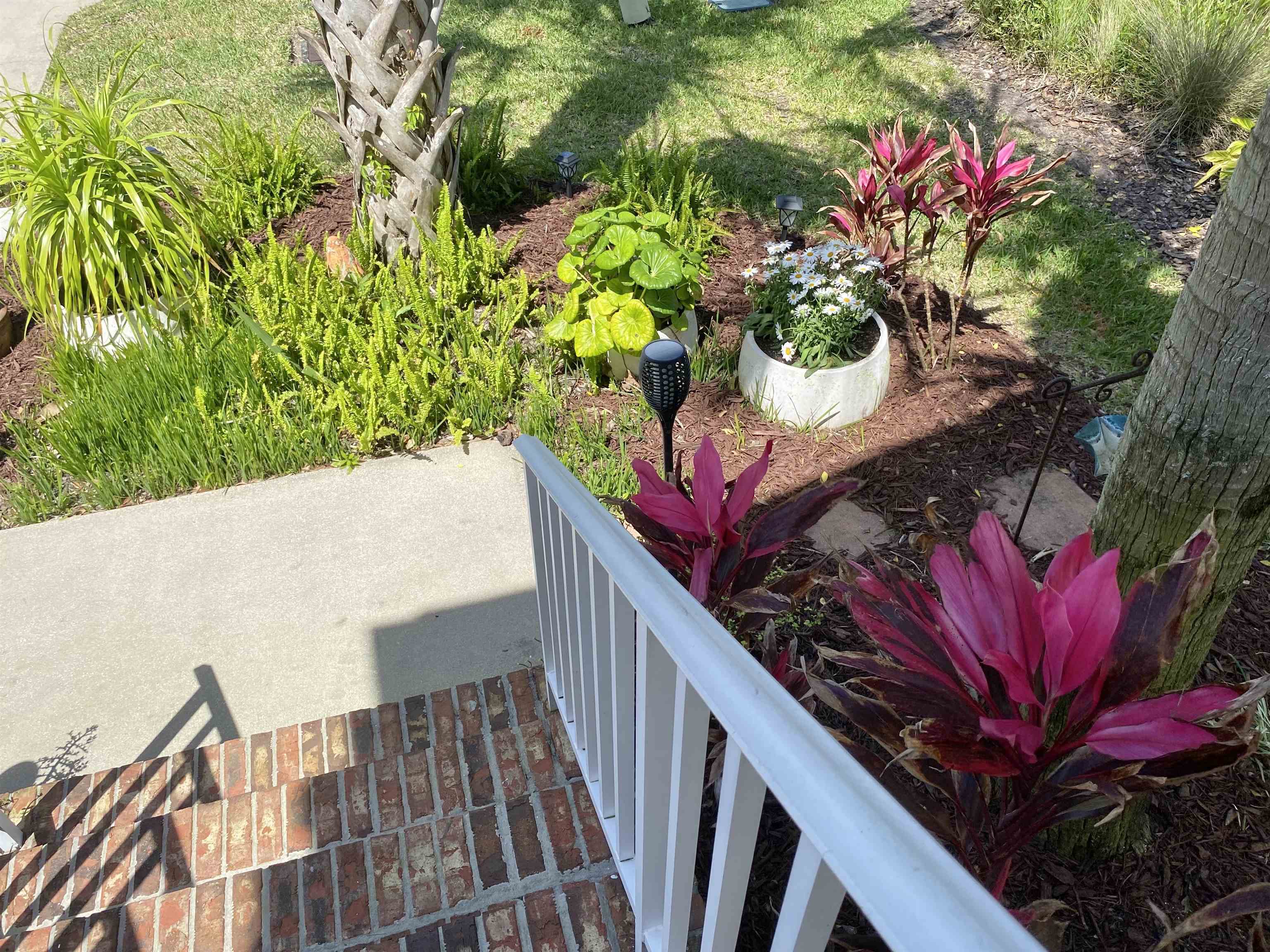 176 Sunset Circle North St. Augustine, FL 32080 - Photo 36 of 44 a view of a flower in a balcony