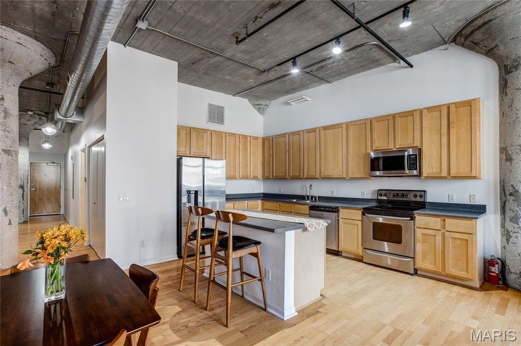 1511 Locust Street, Unit 302 St. Louis, MO 63103 - Photo 18 of 45