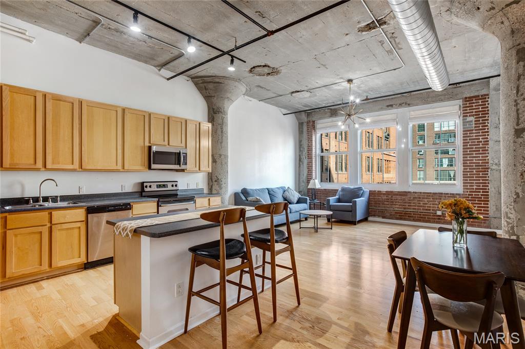 1511 Locust Street, Unit 302 St. Louis, MO 63103 - Photo 10 of 45