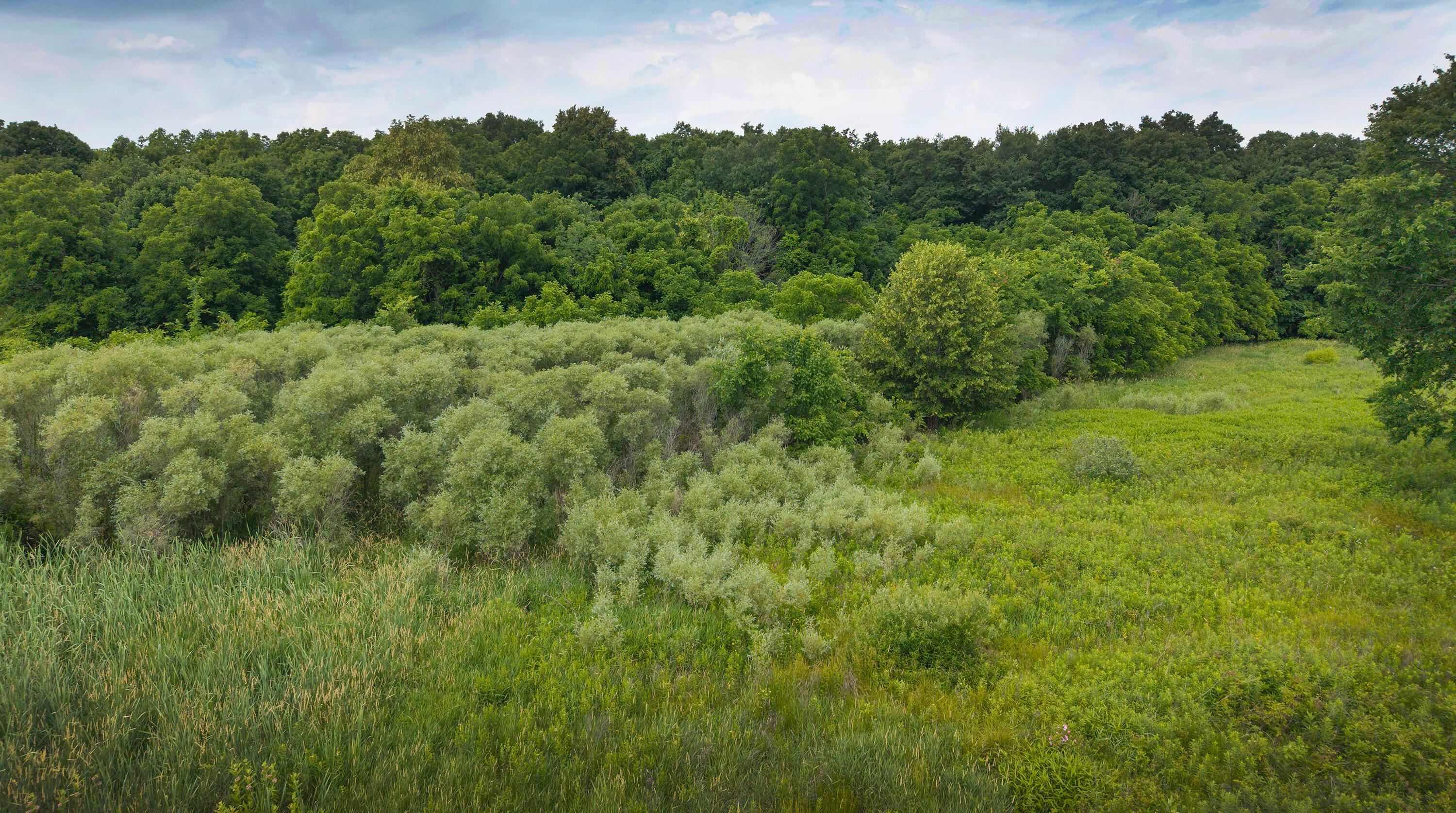 0 Johnstown Road Centerburg, OH 43011 - Photo 12 of 21 JW_12