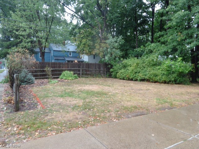 1168 Brainard Road Lyndhurst, OH 44124 - Photo 18 of 20 Rear Yard