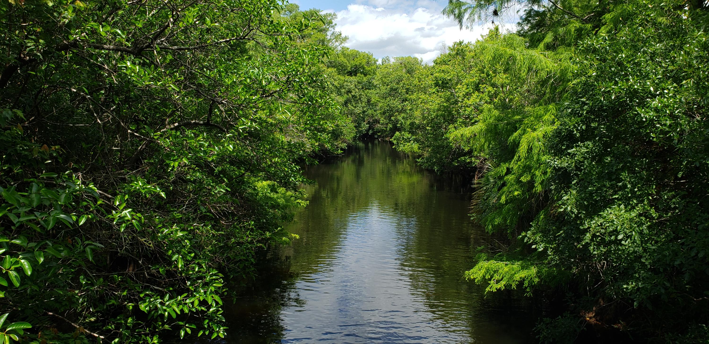 Tbd Sandy Run Road Jupiter, FL 33478 - Photo 24 of 26 River near by