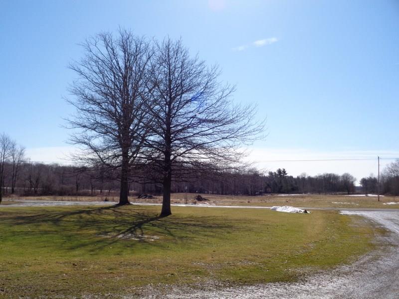 115 Vaughn Road Hadley, PA 16130 - Photo 19 of 20