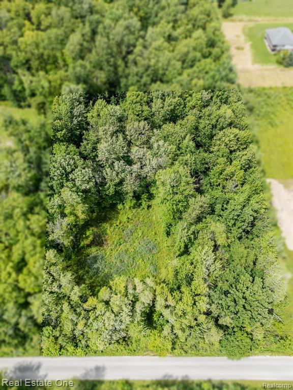 9682 Marquette Road Goodells, MI 48027 - Photo 8 of 13