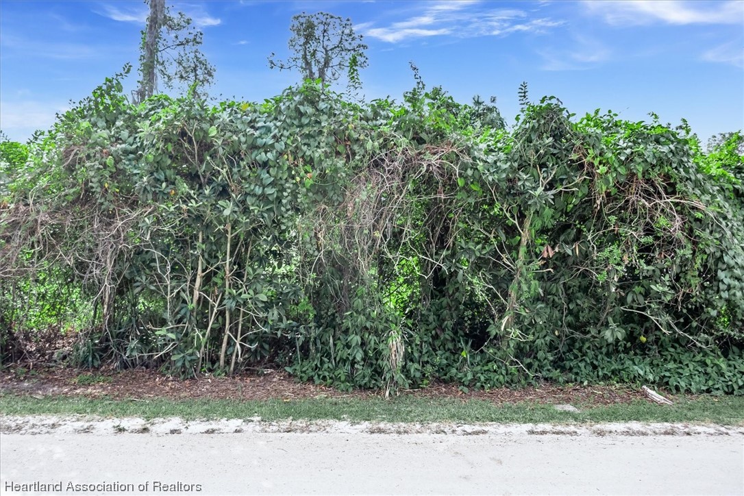 225 Howey Road Sebring, FL 33870 - Photo 2 of 2 Gallery Image 2