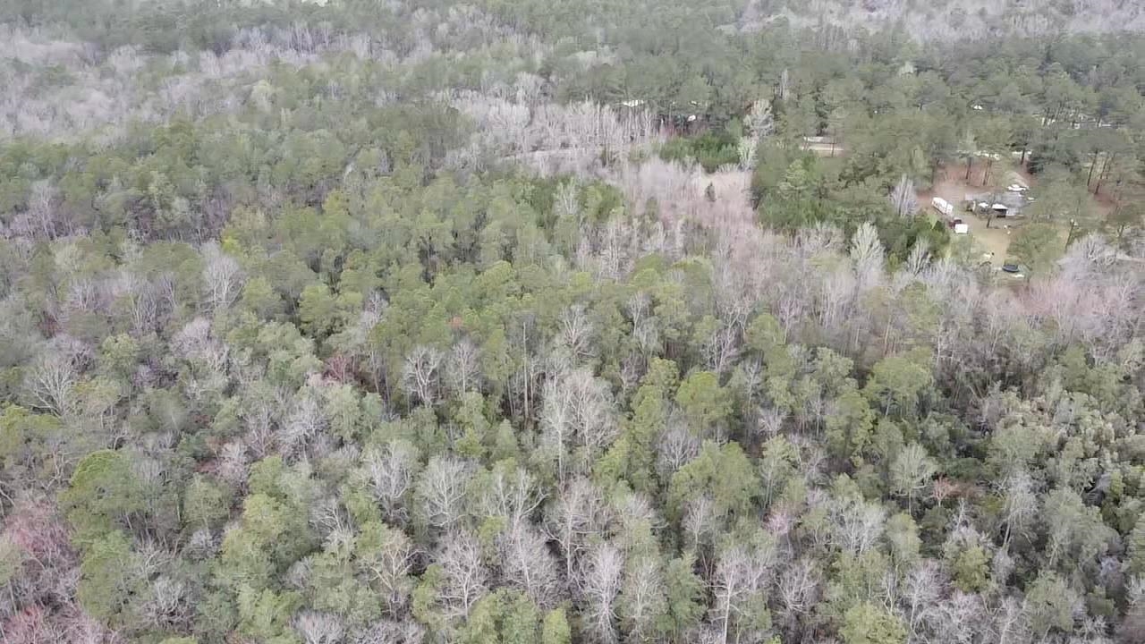 Scottish Lane Bay Minette, AL 36507 - Photo 14 of 25