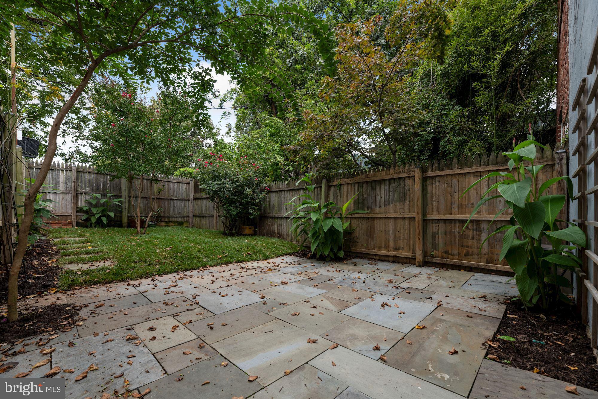 17 15th Street Southeast Washington, DC 20003 - Photo 16 of 17