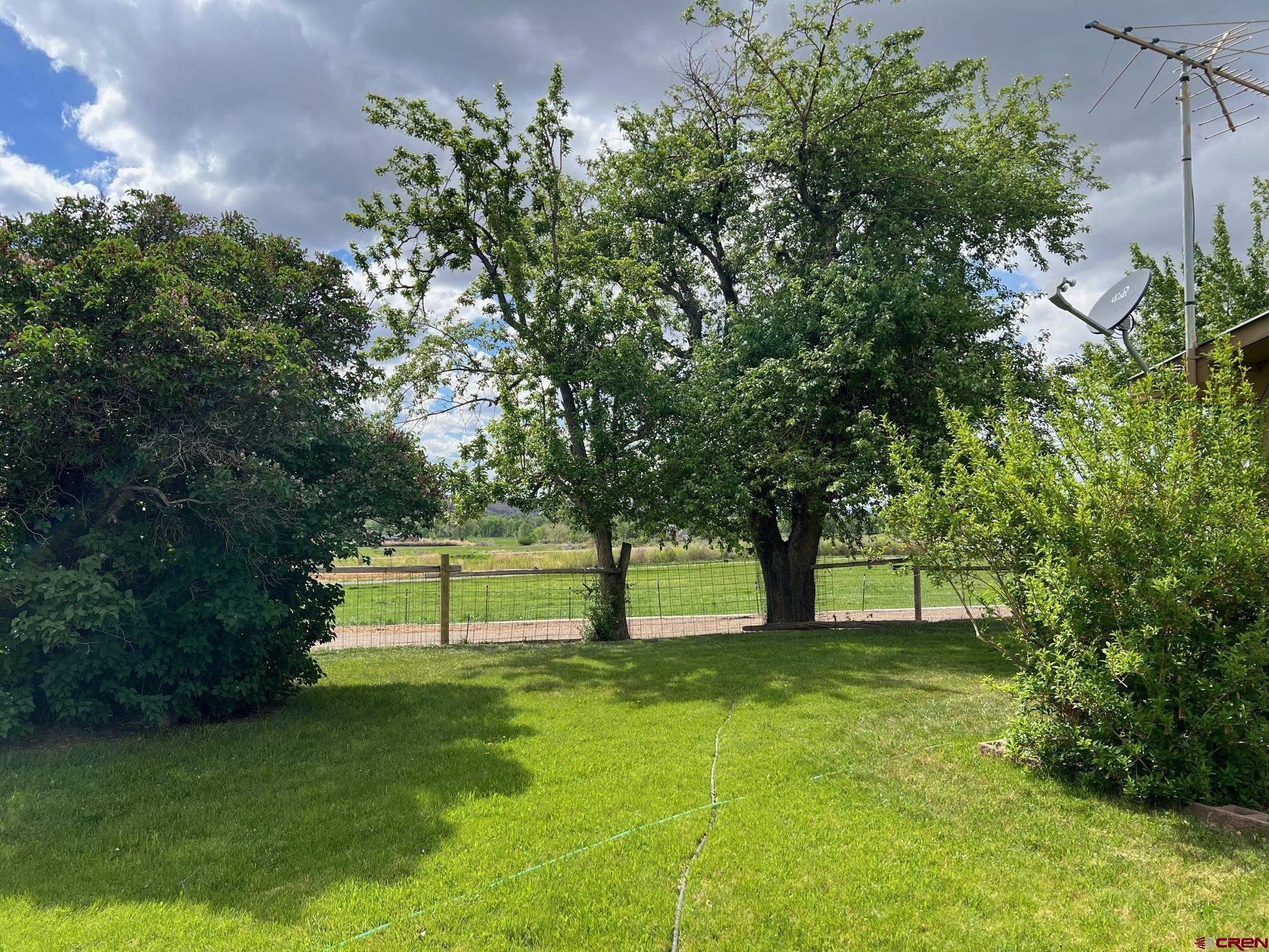 21446 Uncompahgre Road Montrose, CO 81403 - Photo 23 of 40 a view of yard with grass and a trees
