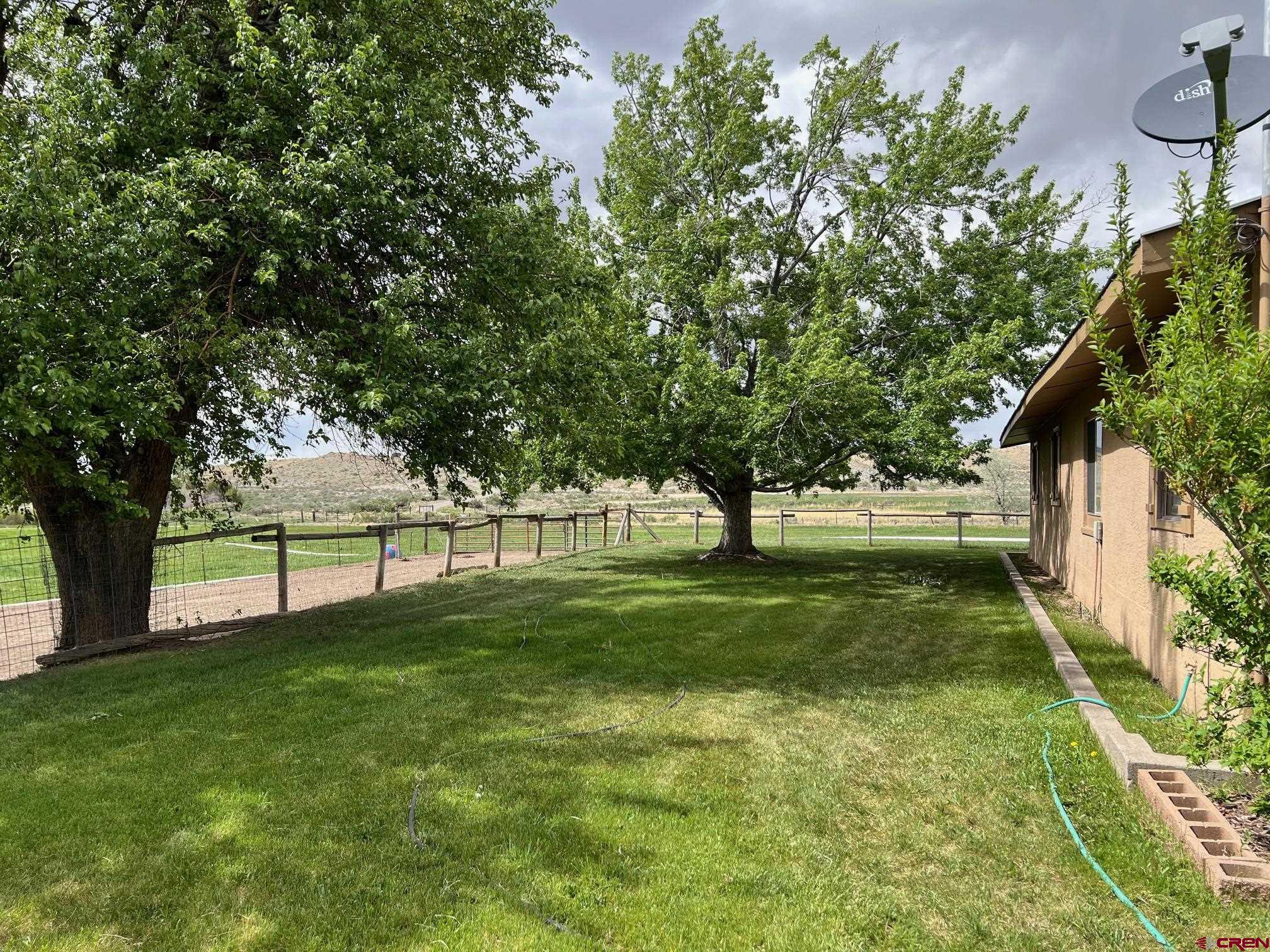 21446 Uncompahgre Road Montrose, CO 81403 - Photo 24 of 40 a view of yard with tree s