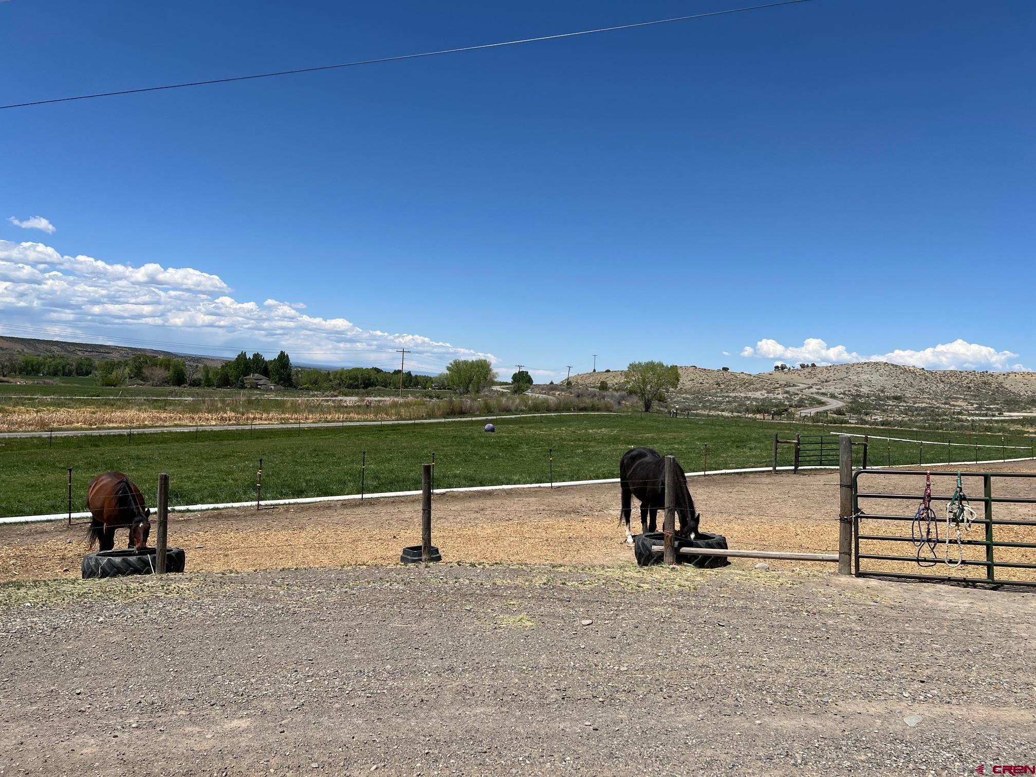 21446 Uncompahgre Road Montrose, CO 81403 - Photo 33 of 40 a park view with a lake view