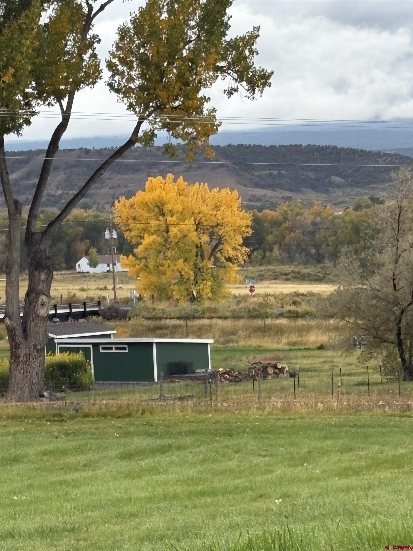 21446 Uncompahgre Road Montrose, CO 81403 - Photo 37 of 40 a view of a swimming pool with a garden