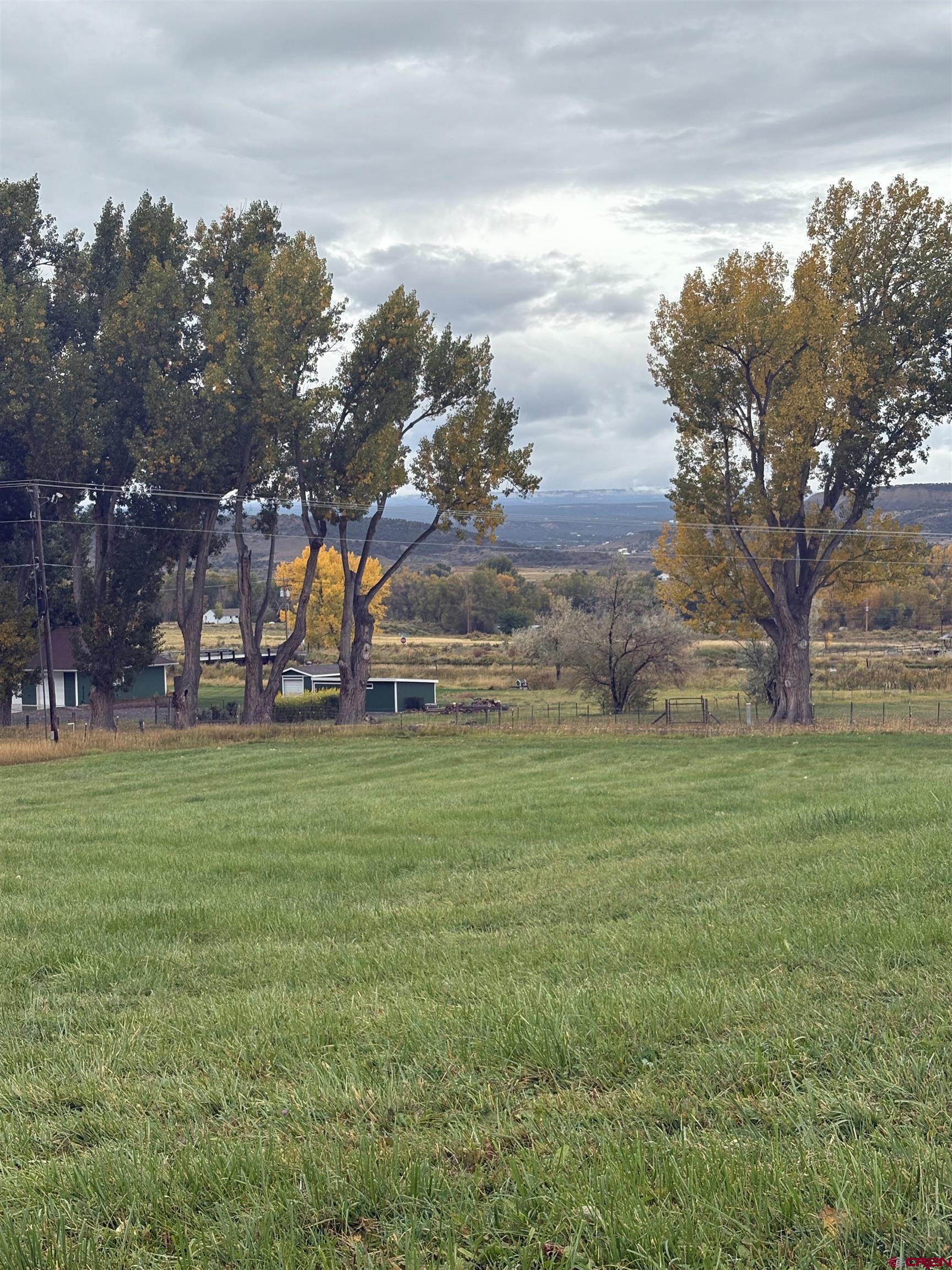 21446 Uncompahgre Road Montrose, CO 81403 - Photo 40 of 40 a view of a park with large trees