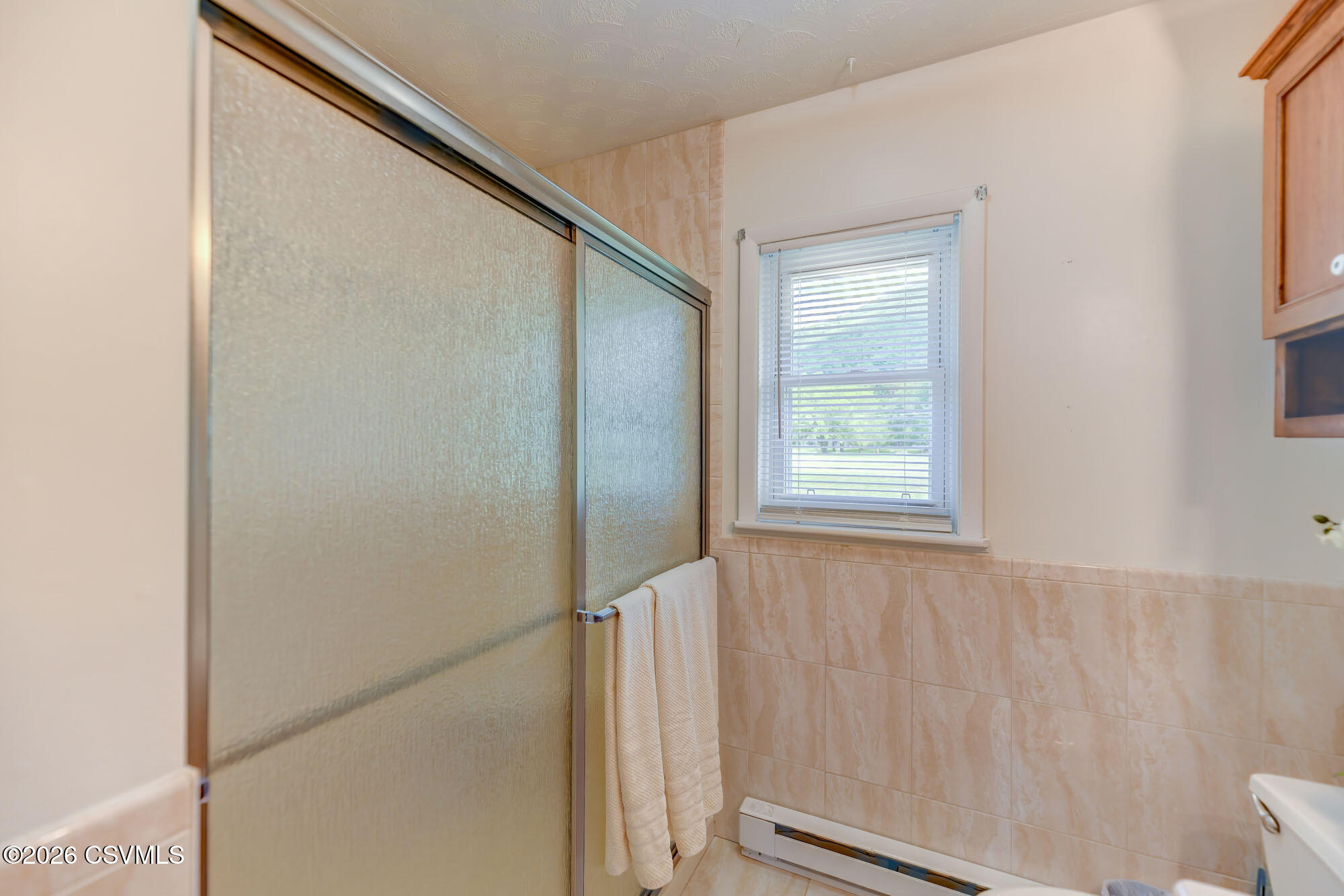 19 Jamison City Road Benton, PA 17814 - Photo 33 of 38