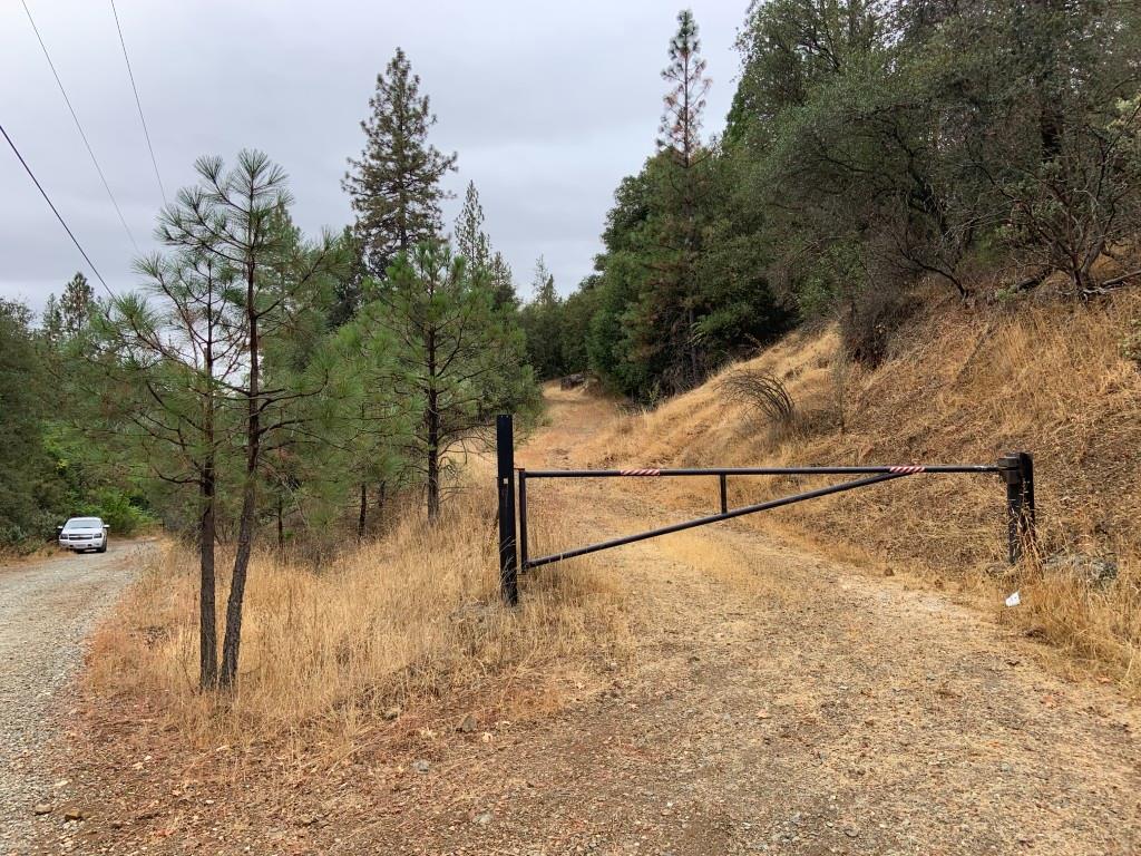 17340 Scopar Road Grass Valley, CA 95949 - Photo 6 of 10