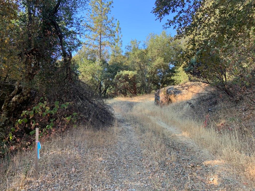 17340 Scopar Road Grass Valley, CA 95949 - Photo 7 of 10