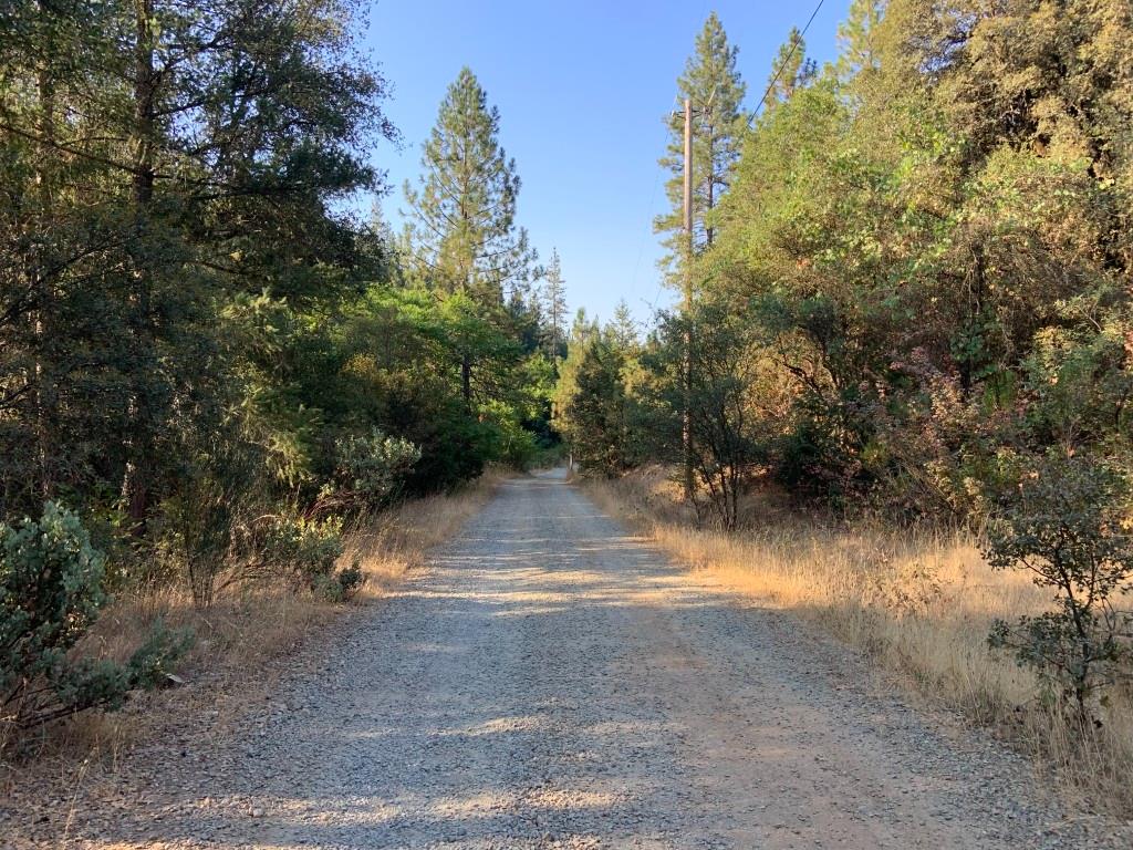 17340 Scopar Road Grass Valley, CA 95949 - Photo 8 of 10