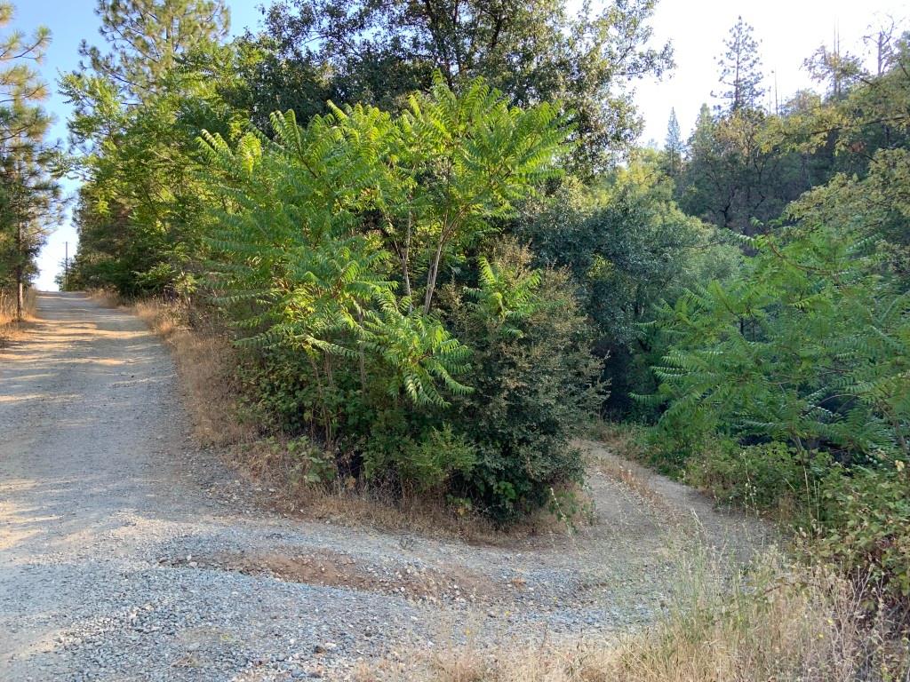 17340 Scopar Road Grass Valley, CA 95949 - Photo 9 of 10