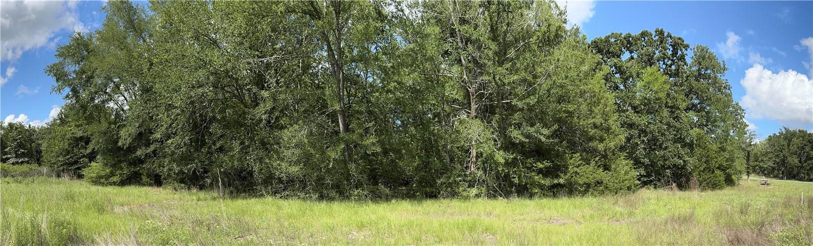 Tbd Pin Oak Road Franklin, TX 77856 - Photo 11 of 11 Tree line at back of 7.5 Ac.