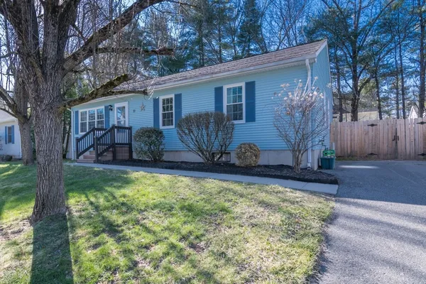 a view of a backyard with a tree