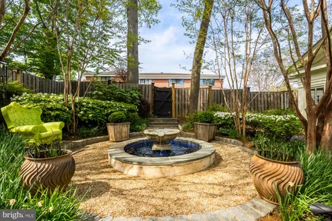 a view of a backyard with plants and a patio