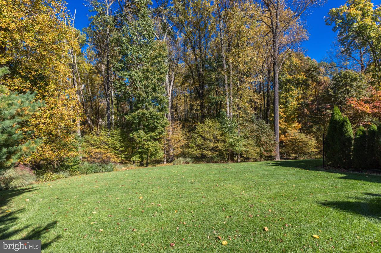 9600 Thistle Ridge Lane Vienna, VA 22182 - Photo 58 of 69 View of Private Yard