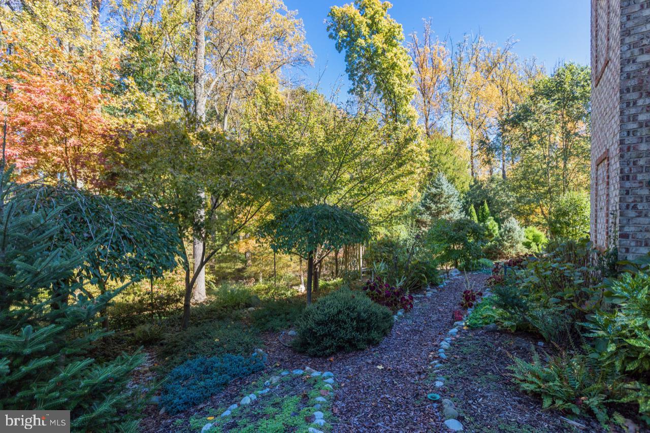 9600 Thistle Ridge Lane Vienna, VA 22182 - Photo 60 of 69 Rear Gardens
