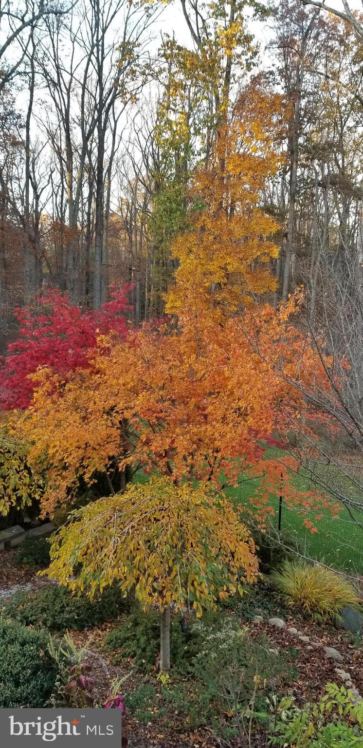 9600 Thistle Ridge Lane Vienna, VA 22182 - Photo 62 of 69