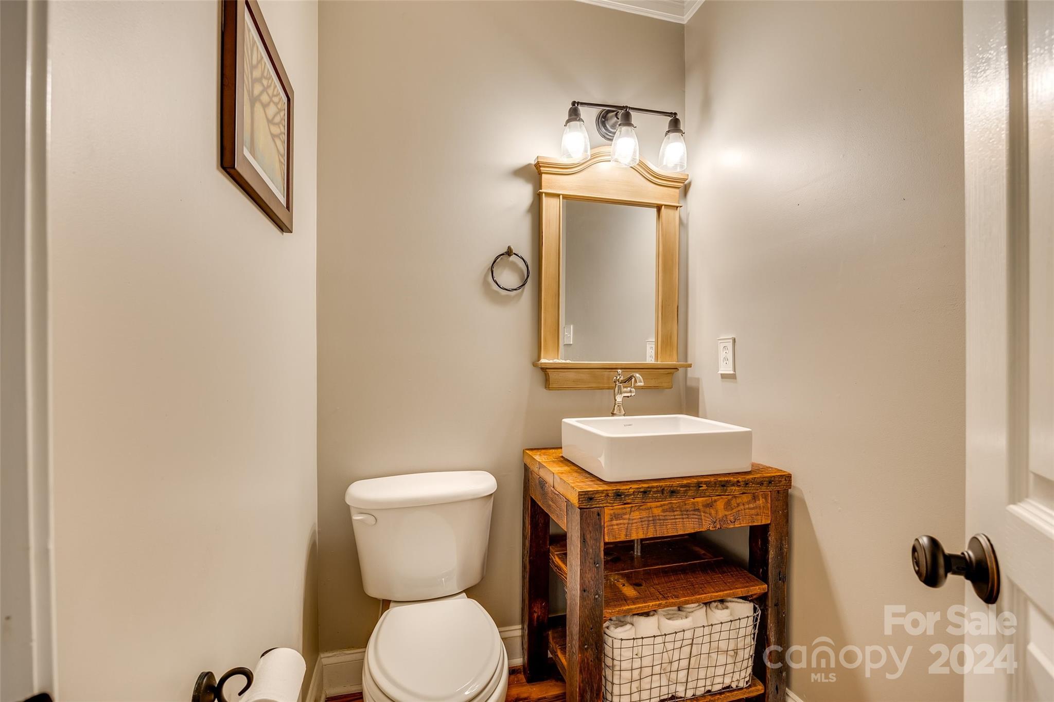 10621 Hanging Moss Trail Charlotte, NC 28227 - Photo 21 of 47 a bathroom with a toilet a sink and mirror