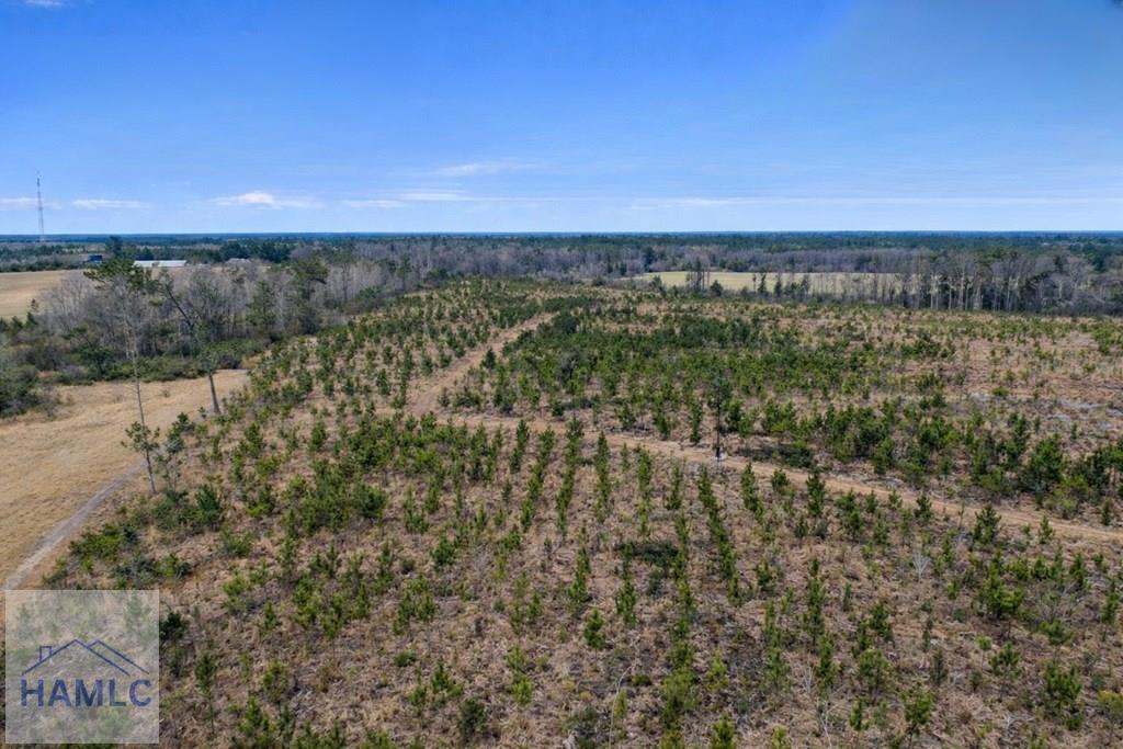 3 Reddish Road Screven, GA 31560 - Photo 52 of 55 Gallery Image 52